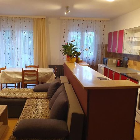 Apartments Sara لابين المظهر الخارجي الصورة
