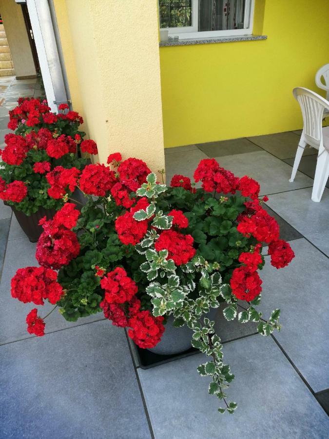 Apartments Sara لابين المظهر الخارجي الصورة